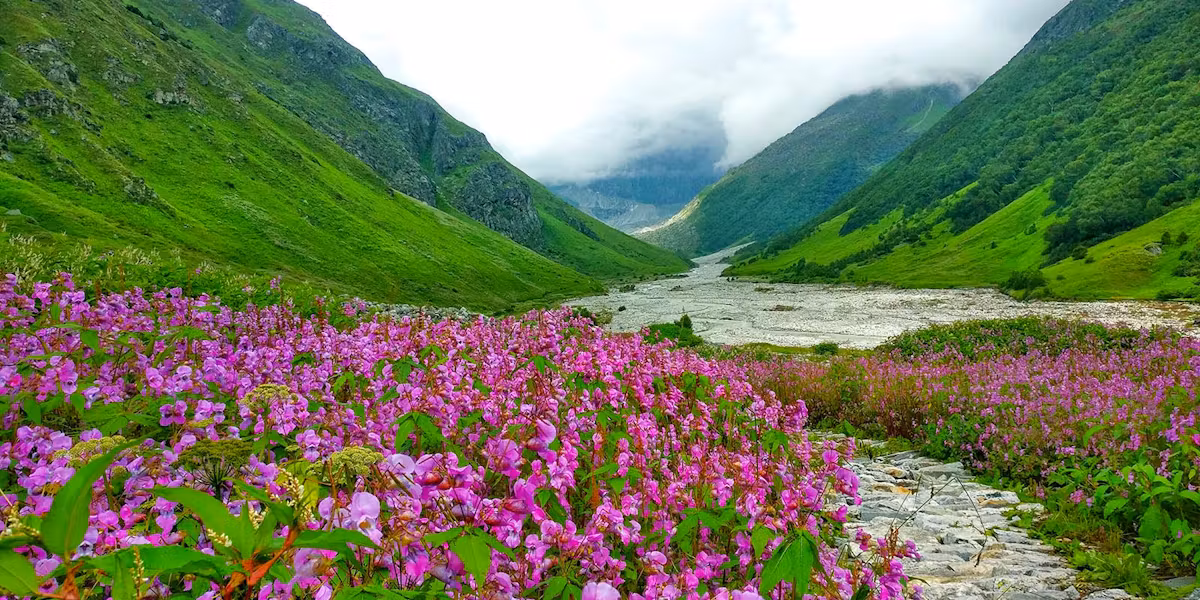 VALLY OF FLOWER